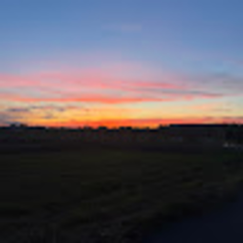 Meet your Posher, Liv